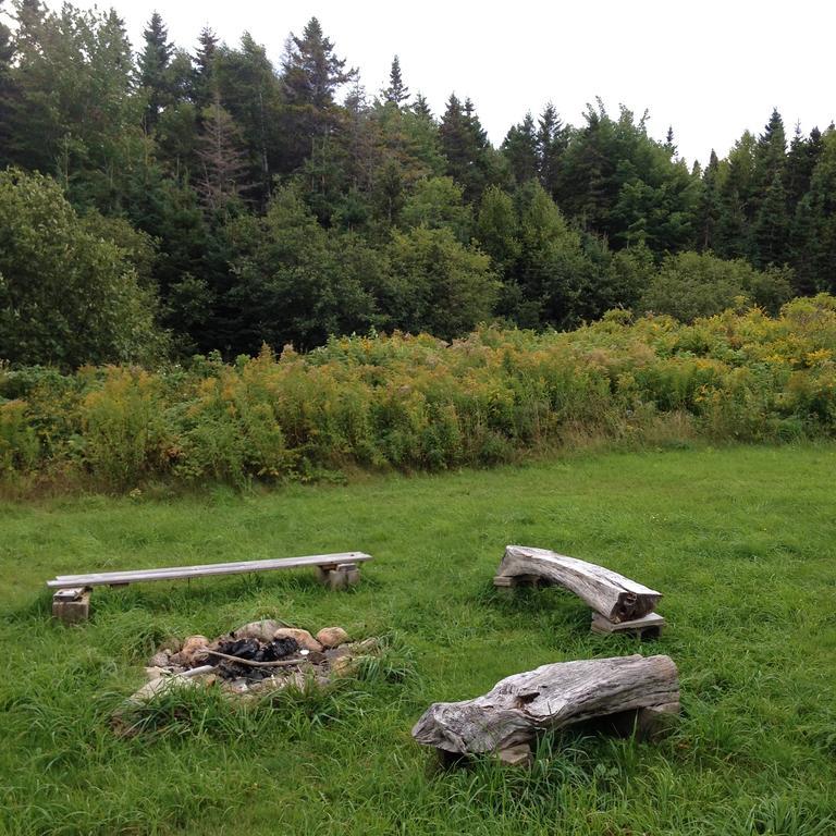 Breton Cove Farmhouse Guest House Indian Brook Eksteriør bilde