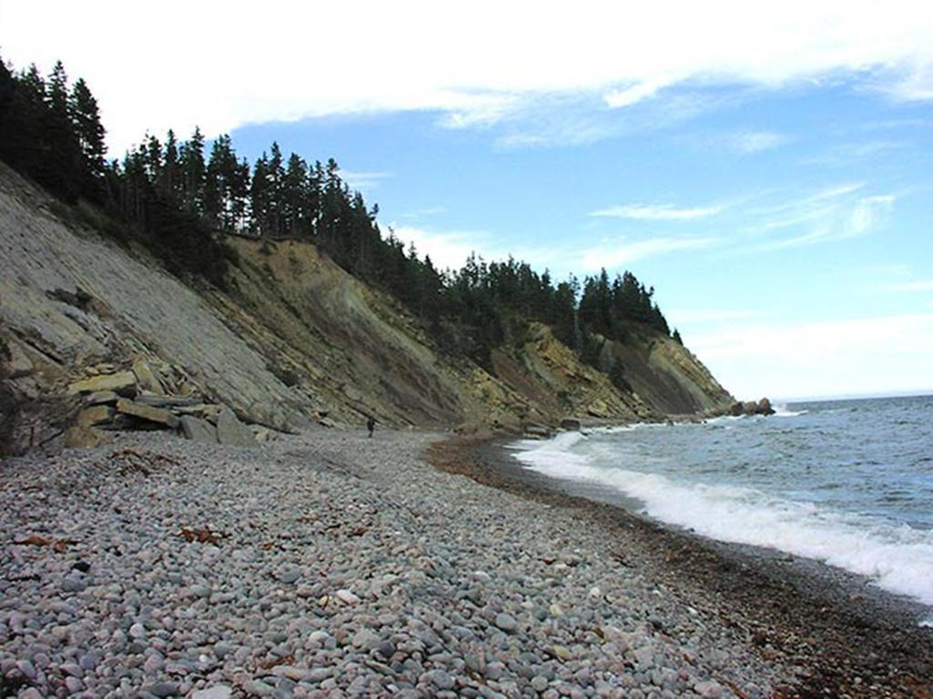 Breton Cove Farmhouse Guest House Indian Brook Eksteriør bilde